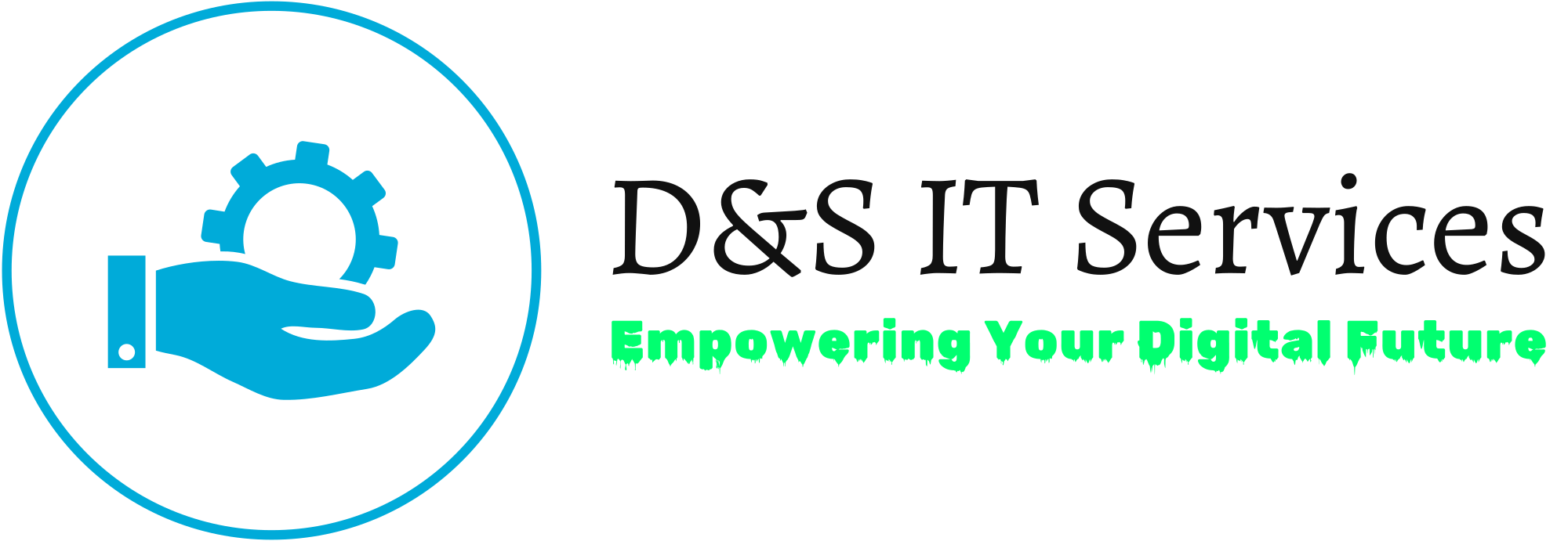 D&S IT Services Help Desk